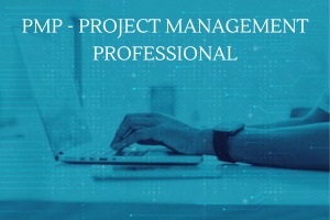 PMP Certification Course